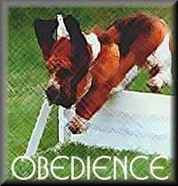 Obedience_Web.jpg (14268 bytes)