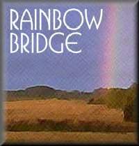 RainbowPoemBorder.jpg (11357 bytes)
